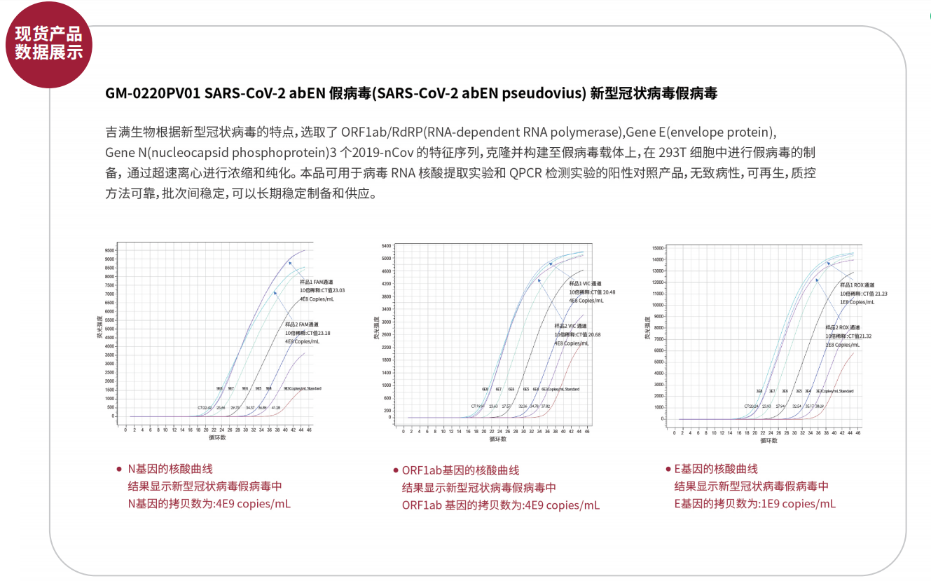 冠状病毒1.png