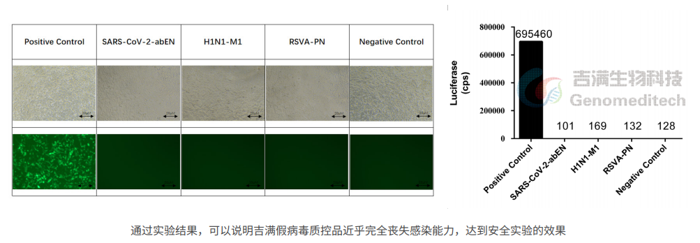 冠状病毒2.png