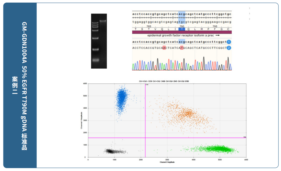 gdna2.png