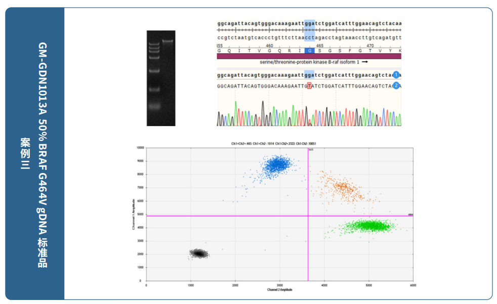 gdna3.png