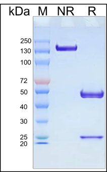 /ueditor/image/20240523/1716436041372302/52b15eddbac3e3db30851c2aede40ab7.png image.png